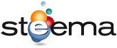 Steema Software logo picture